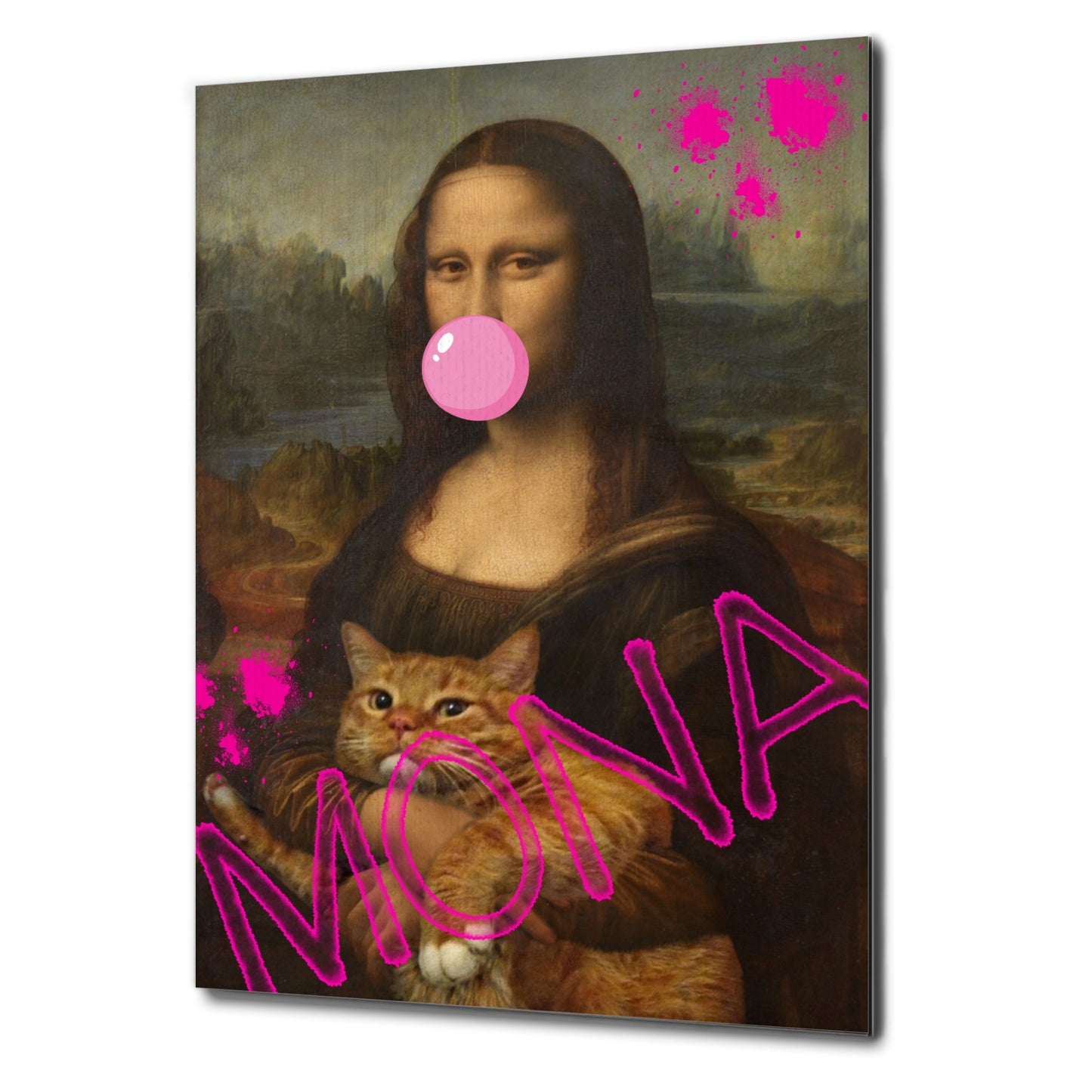 Mona und die Katze