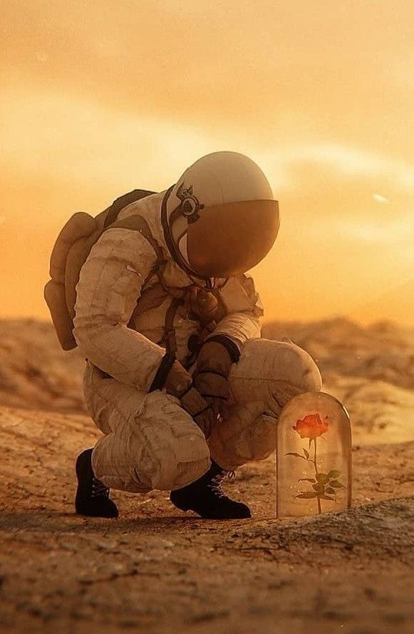 Der Astronaut und die Rose